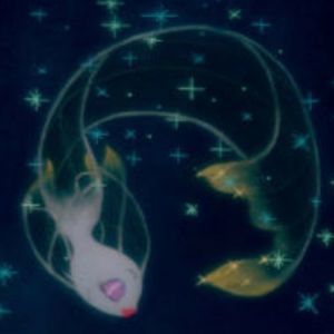 Meet your Posher, Martha